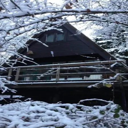 Charming Whistler In The Heart Of * דורבורי