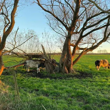 Charming Whistler In The Heart Of
