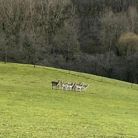 شاليه Charming Whistler In The Heart Of دربي