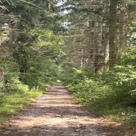 Charming Whistler In The Heart Of شاليه