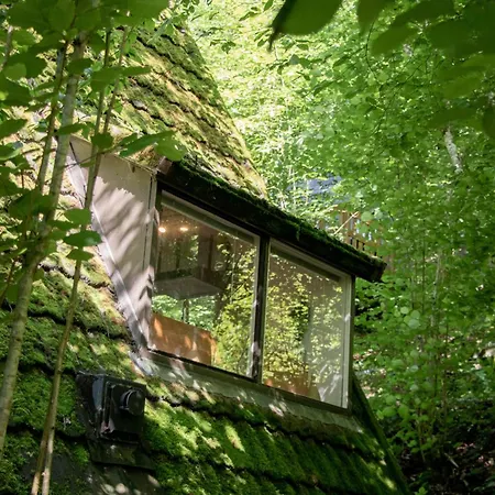 Charming Whistler In The Heart Of * Durbuy
