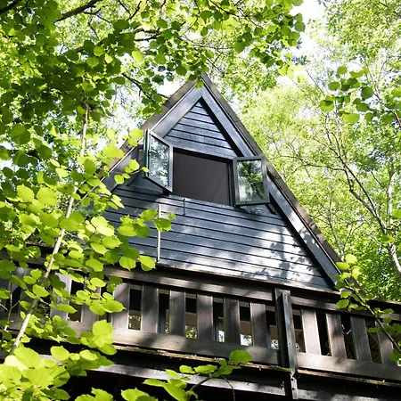 Charming Whistler In The Heart Of * دربي